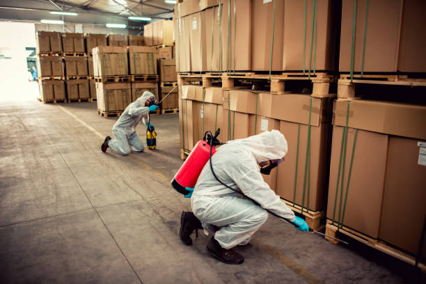 Best Wasp Removal Services  in Hardwick, GA