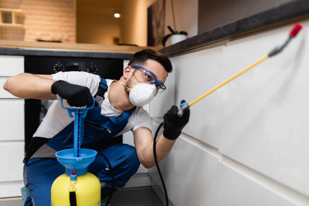 Best Ant Control Services  in Hardwick, GA