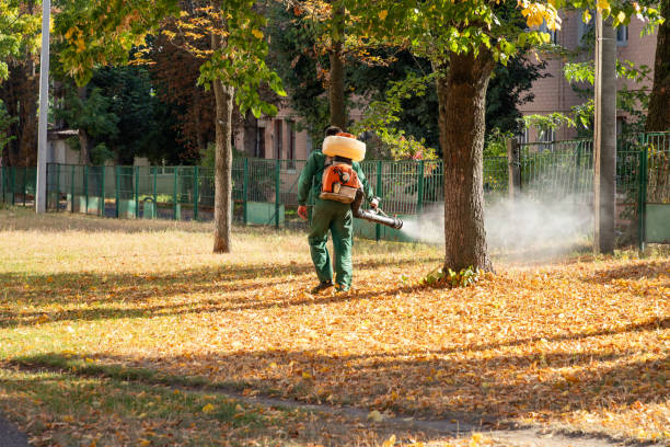 Best Local Pest Control Services  in Hardwick, GA