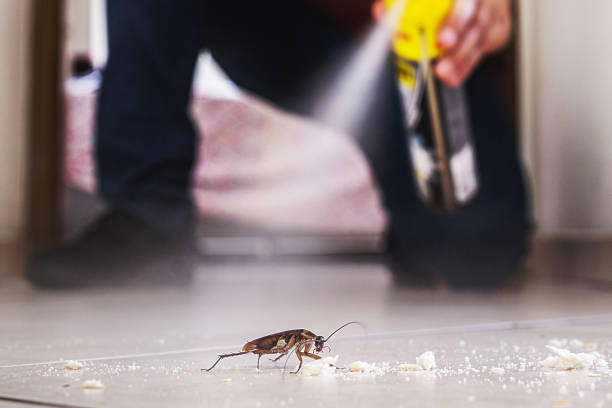 Insect Control in Hardwick, GA