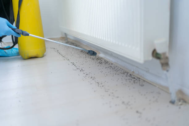 Best Affordable Pest Control Services  in Hardwick, GA